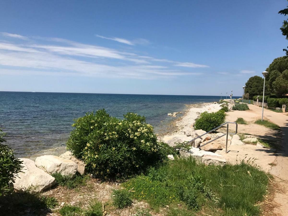 Todor Seaside Apartments Lovrečica المظهر الخارجي الصورة